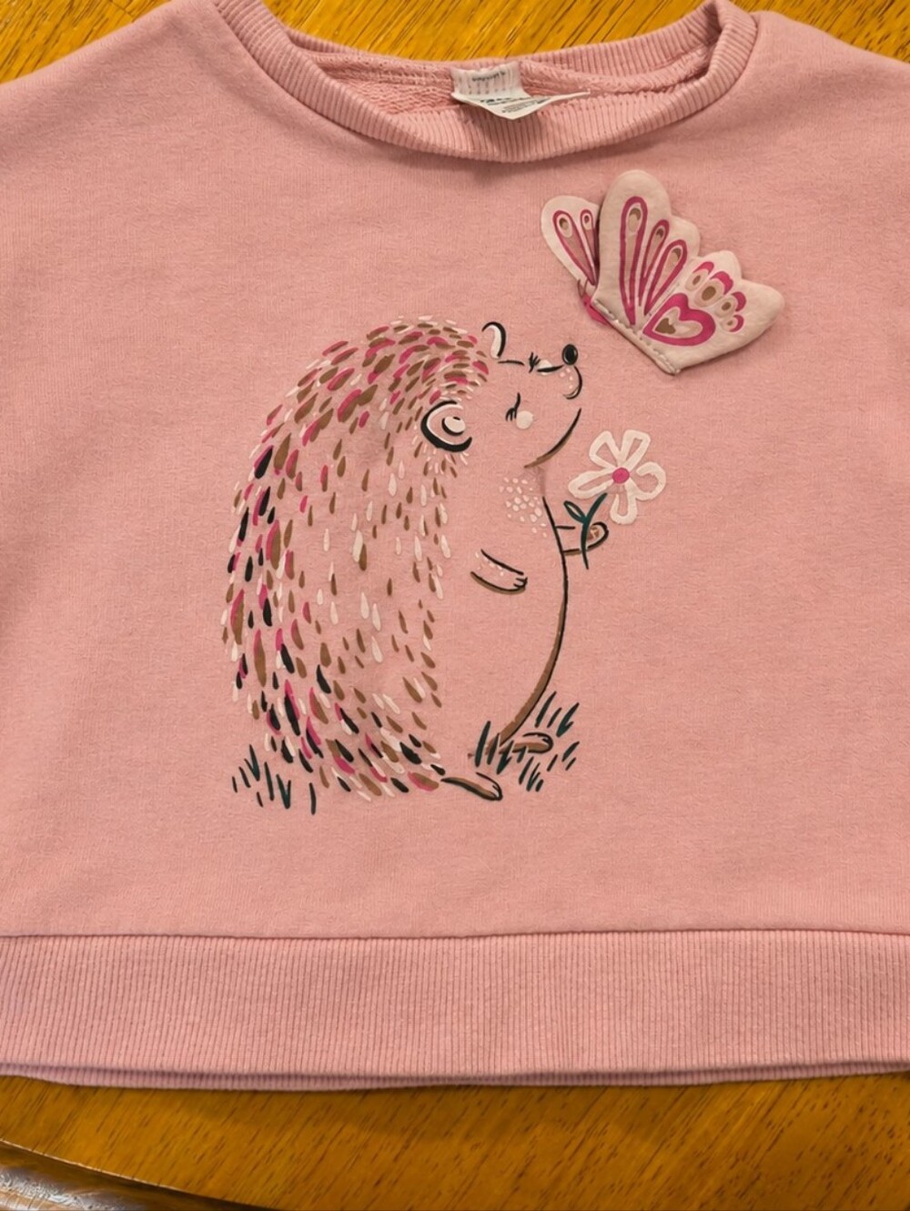 Carter’s Girls 2T Pink Hedgehog 3D Butterfly Sweatshirt